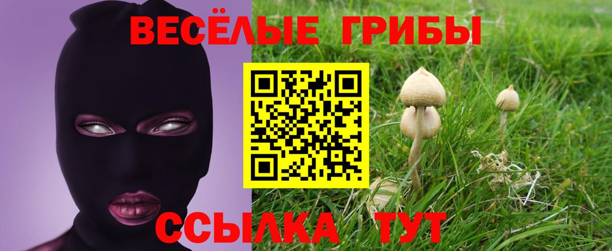 Галлюциногенные грибы Psilocybine cubensis Рязань